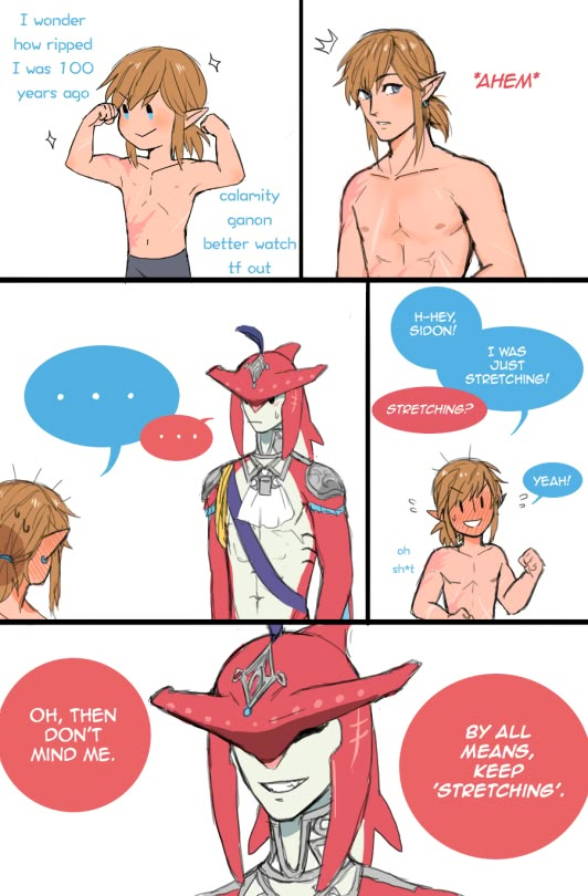 Sidon Zelda, Prince Sidon, Legend Of Zelda Characters, Botw Zelda, Legend Of Zelda Memes, Zelda Funny, Link Art, Gay Comics, Link Zelda