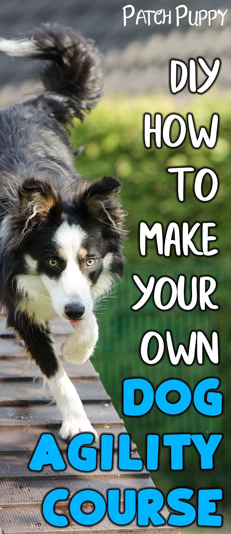 a black and white dog running on top of a wooden bench with the words how to make your own dog agility course