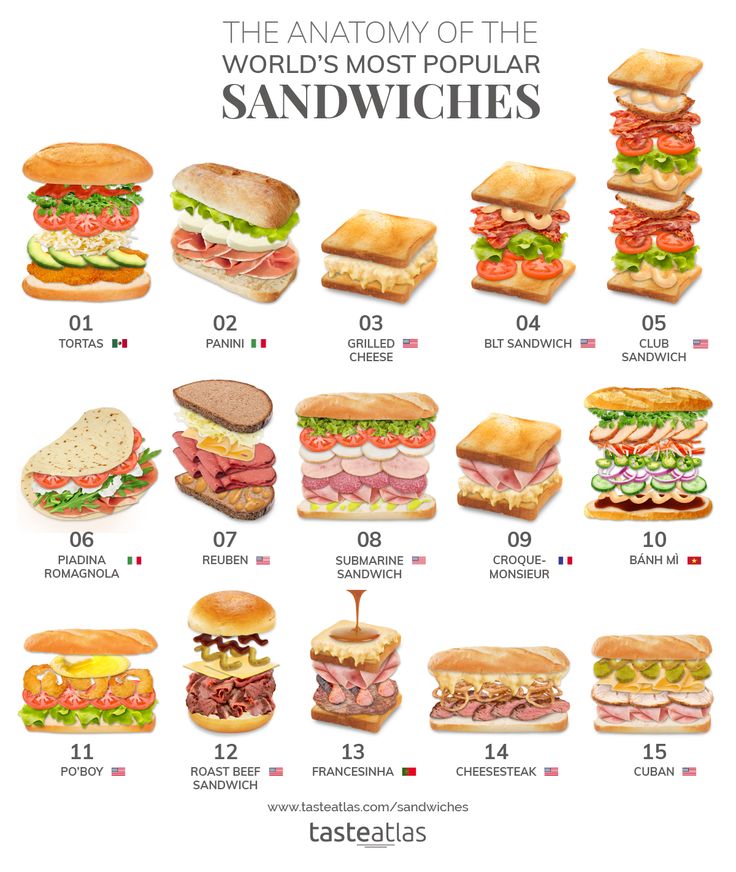 the anatomy of the world's most popular sandwiches