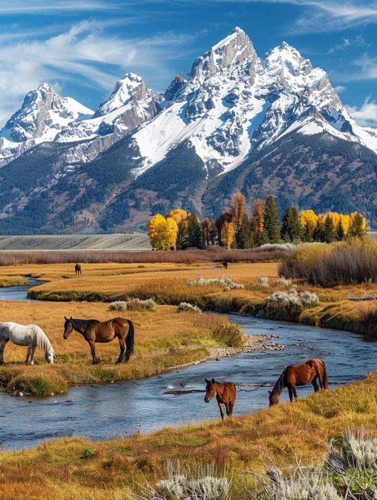 several horses are grazing in the grass near a river and mountains with snow on them