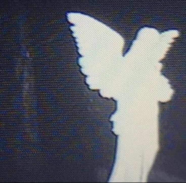 the shadow of a person's head on a television screen with a bird flying over it