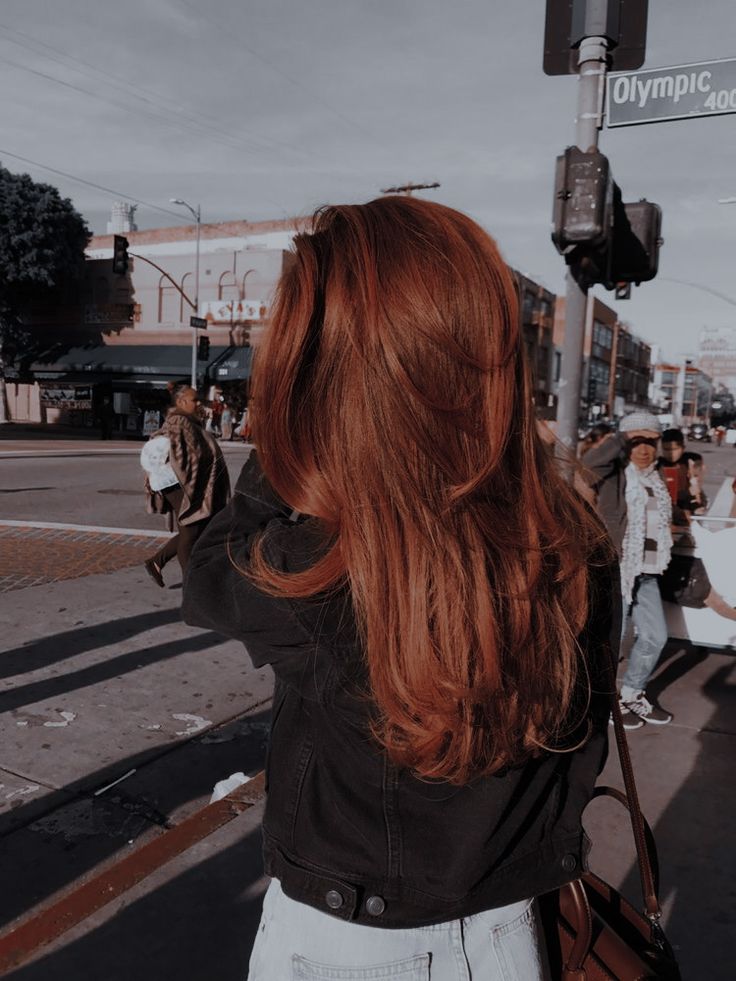 Aesthetic Ginger Hair, Red Brunette Hair, Ginger Brown Hair, Fall Red Hair, Red Hair Aesthetic, Dark Ginger Hair, Jules Ambrose, Red Brown Hair Color, Dark Auburn Hair