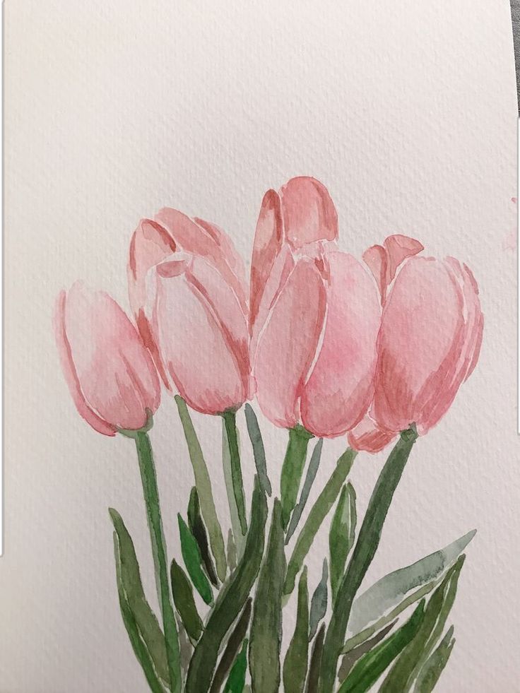 a painting of pink tulips in a vase on a white paper with green leaves