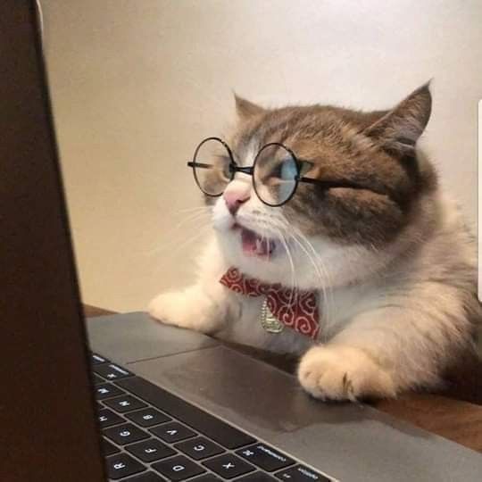 a cat wearing glasses and sitting on top of a laptop computer with its mouth open