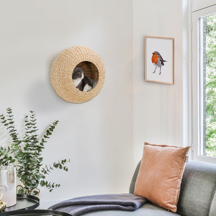 a living room filled with furniture and a round mirror hanging on the wall above it