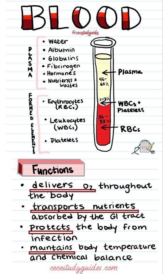 Studie Hacks, Medical Assistant Student, Studera Motivation, Medical School Life, Nursing School Motivation, Basic Anatomy And Physiology, Nurse Study Notes, Nursing Student Tips, Biology Facts