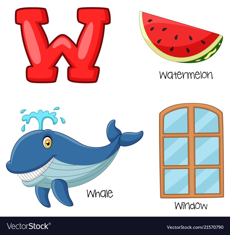 the letter w is for whale and watermelon with an image of a window