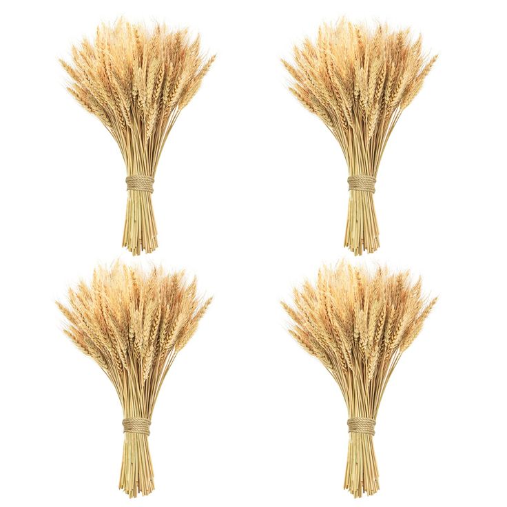 PRICES MAY VARY. Natural ✿ 400 STEMS WHEAT SHEAVES: 400 stems wheat stalks in one wheat bunch, 17.7 inches length is much taller than others. Upgraded package of dried flowers ensure that the wheat stalks are in a intact condition. ✿100% NATURAL WHEAT : Picked by farmers from the wheat fields, bathed in the sun, and dried naturally. NOT any additives, the original state of wheat is preserved. providing you with the farmhouse décor style and a touch of nature. ✿PERFECT ORNAMENT: Ideal for wedding Wreath Table Centerpiece, Wheat Decorations, Wheat Flower, Boho Party Decorations, Wheat Sheaf, Dried Wheat, Spring Flower Arrangements, Diy Thanksgiving, Wreath Home Decor