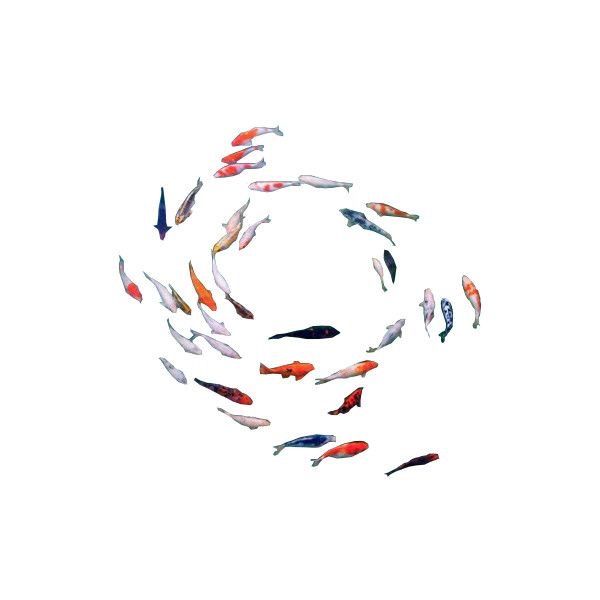 a group of fish swimming in a circle on top of white paper with watercolor paint