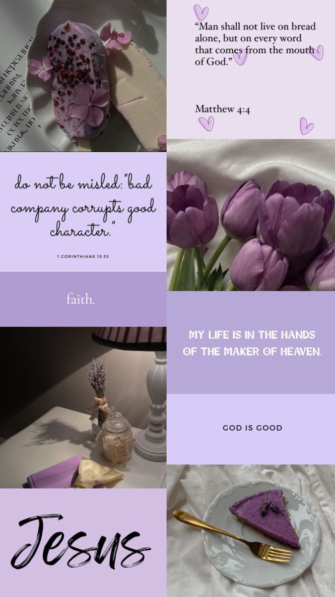 the words are written in different languages on purple and white paper, with pink tulips