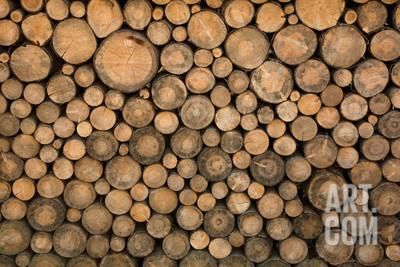 wood logs stacked on top of each other in a pile with the tops cut off