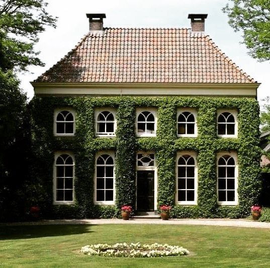 an old house covered in vines and flowers