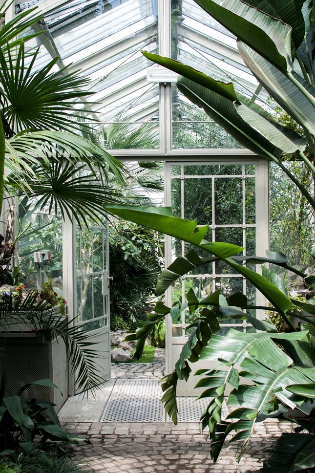 the inside of a glass house with lots of plants and trees in it's center