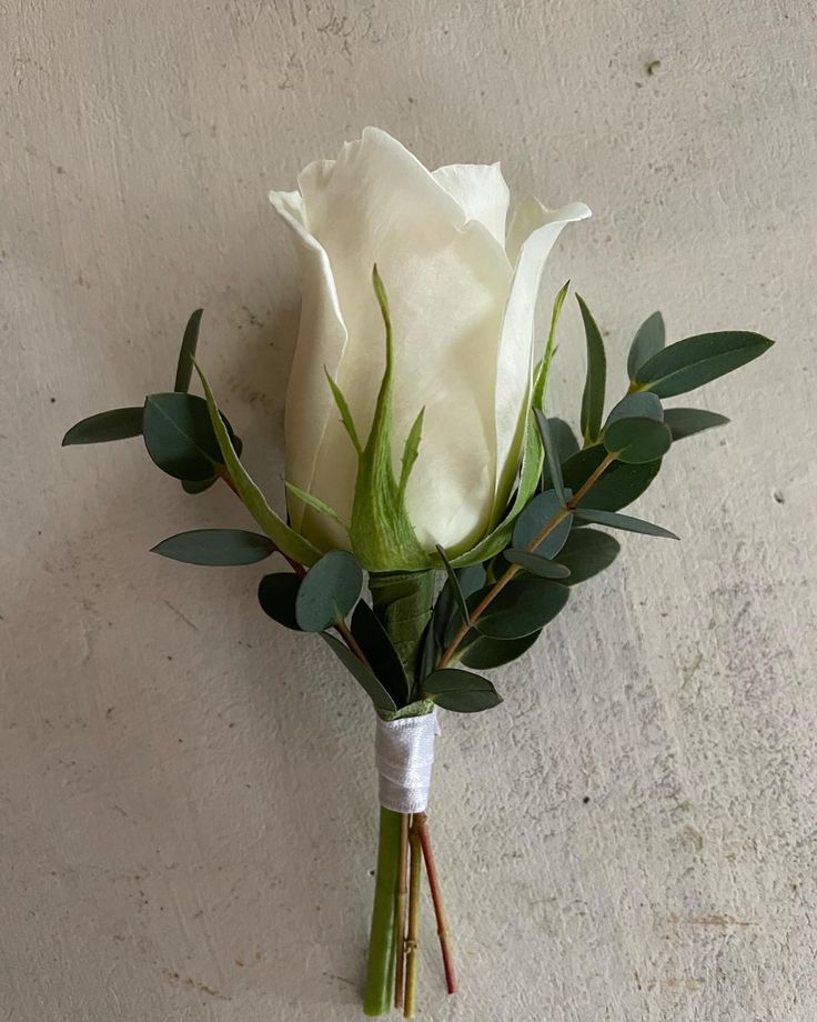 a single white rose with green leaves in a boutonniere on a wall