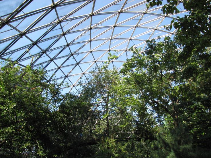 the inside of a building with trees and blue sky