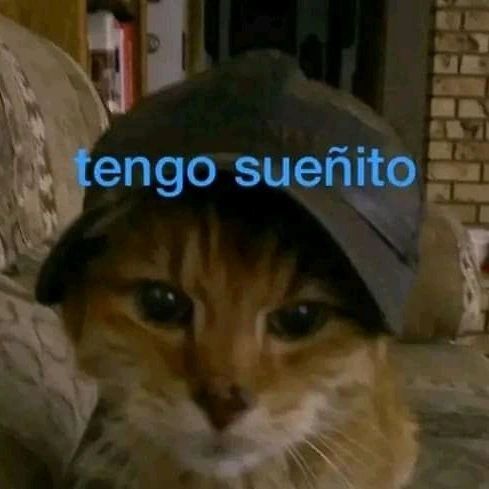 an orange and white cat wearing a hat with the words tengo suentito on it