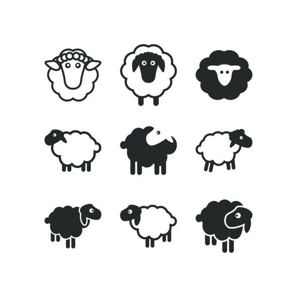 black and white sheep icon set