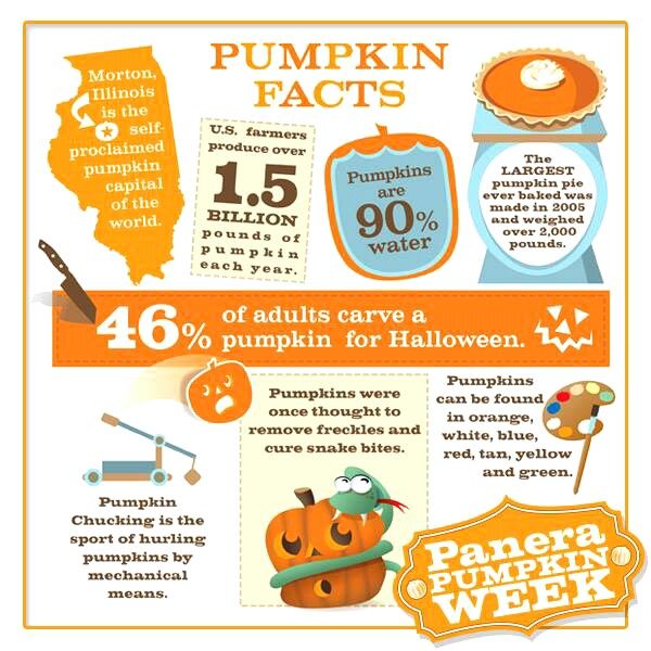 an info sheet with pumpkins and other things