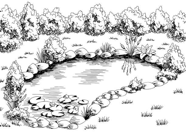 an ink drawing of a pond surrounded by rocks and trees, with water lilies in the foreground