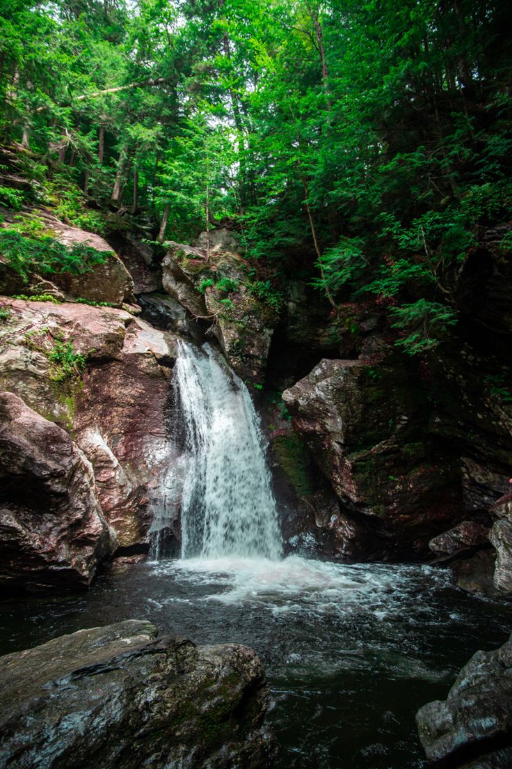 a small waterfall in the middle of a forest