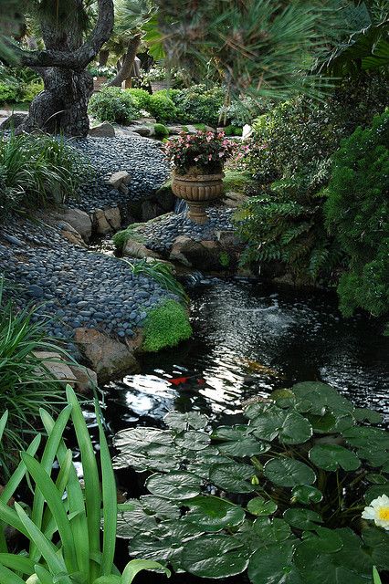 there is a small stream in the middle of this garden with lots of plants and water lilies