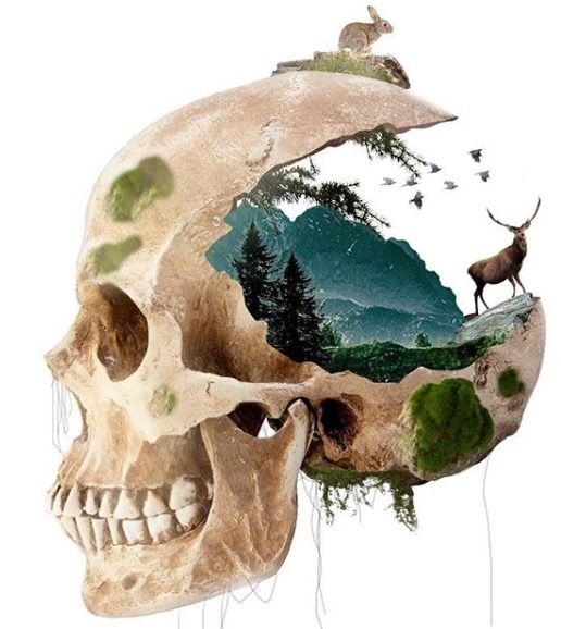 an image of a human skull with animals on it