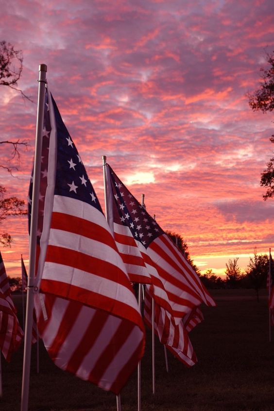 several american flags blowing in the wind at sunset