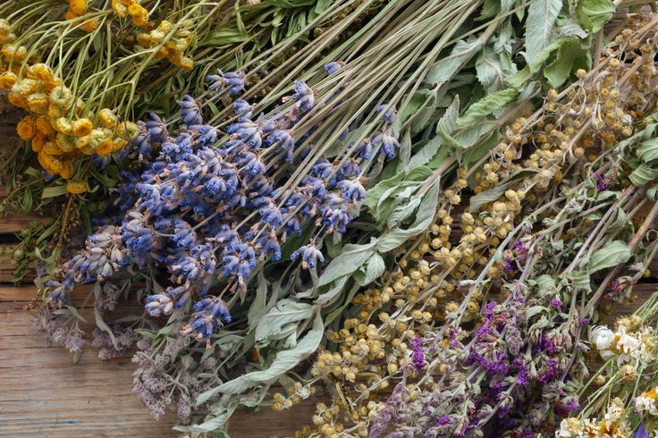 dried herbs and flowers laid out on a wooden surface