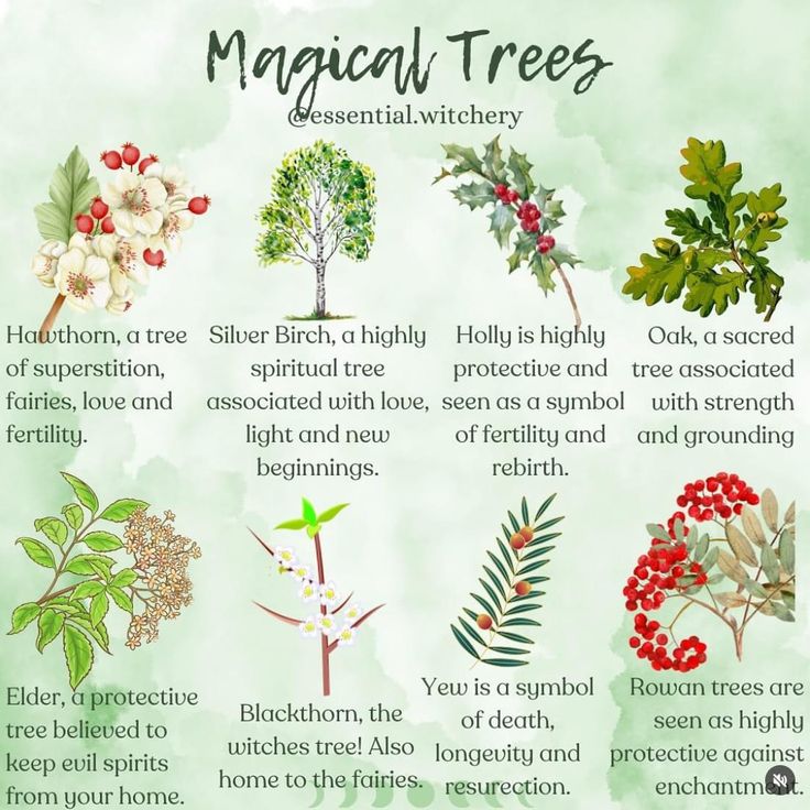 a poster with different types of trees