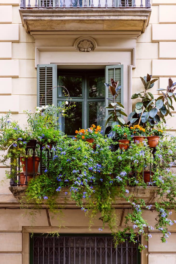 Narrow Balcony, French Balcony, Tiny Balcony, Small Balcony Garden, Balcony Flowers, Small Balcony Design, Apartment Plants, Balcony Plants, Small Outdoor Spaces