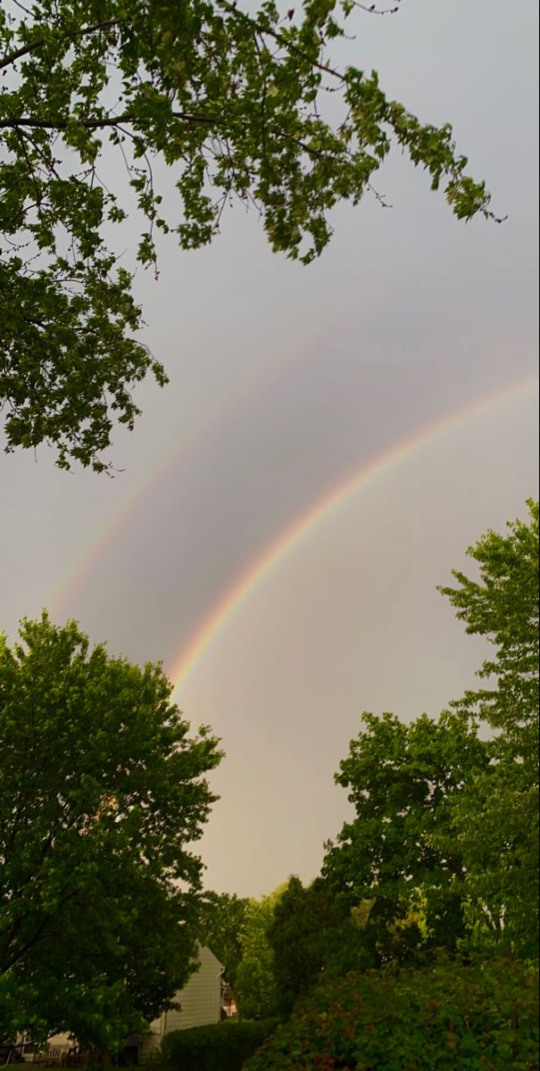 two rainbows in the sky above some trees