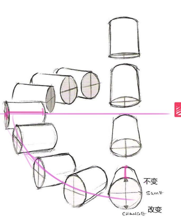 a drawing of different shapes and sizes of toilet paper rolls with chinese writing on them