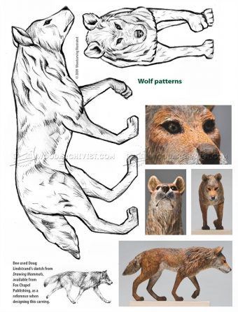 an animal's body is shown with pictures of the wolfs and other animals