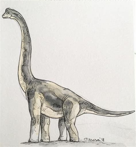 a drawing of a dinosaur standing on the ground