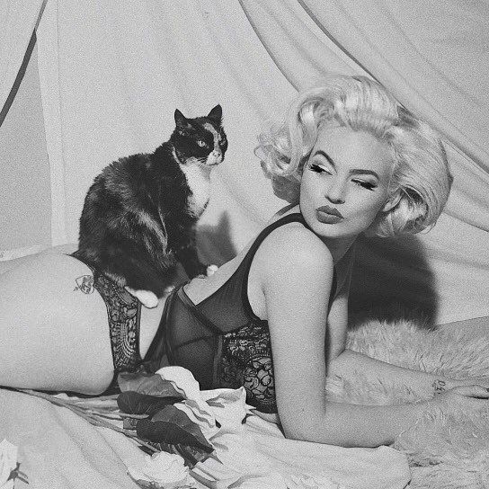 Cat Family Portrait, Gia Genevieve, Black Cat Aesthetic, Allergic To Cats, Cat Seat, Cat Pose, Marilyn Monroe Photos, Lingerie Photos, Photoshoot Themes