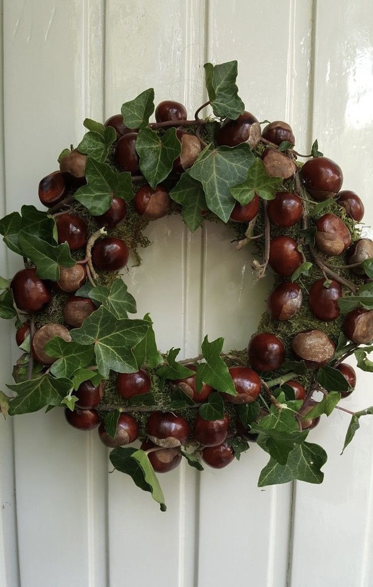 a wreath made out of chestnuts and ivy hangs on a white door with green leaves