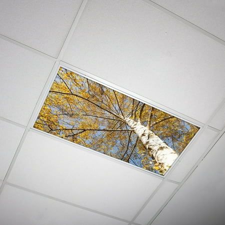 the ceiling is painted white and has an image of a tree in it's center