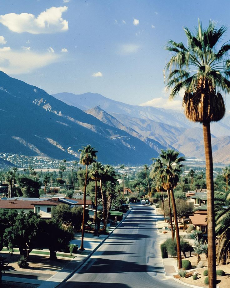 palm trees line the street in front of mountains