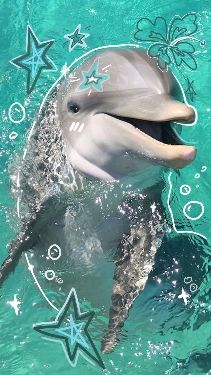 a dolphin swimming in the water with stars around it's neck and mouth,