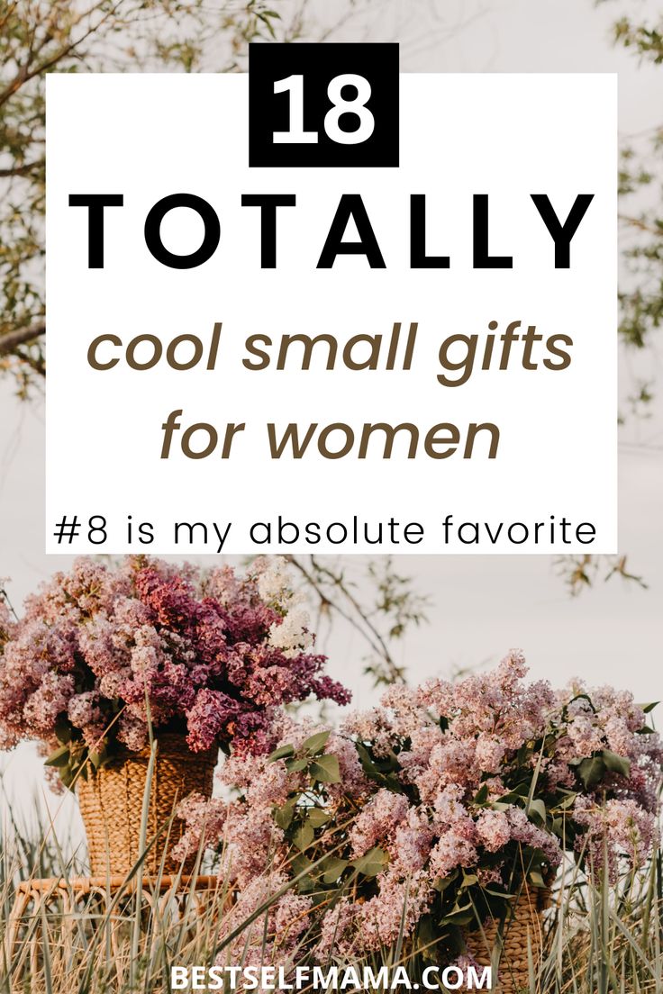 Inexpensive Birthday Gifts, Gifts For Older Women, Small Gifts For Women, 65th Birthday Gifts, Cheap Birthday Gifts, Boss Birthday Gift, Gifts For Young Women, Easy Birthday Gifts, Small Gifts For Friends