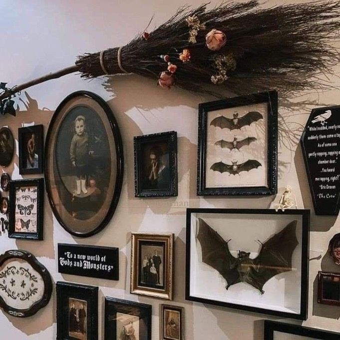 there are many framed pictures on the wall with bats and other things around them that is attached to the wall