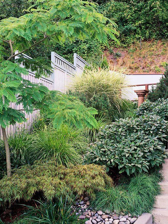 a garden with lots of plants and rocks