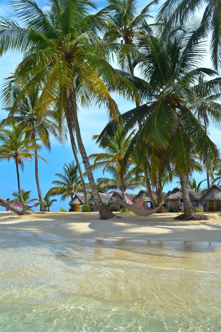 palm trees and hammocks on the beach in front of some huts with thatched roofs