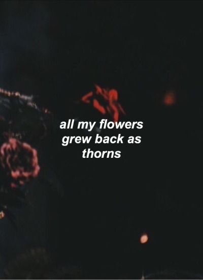 a black and white photo with the words all my flowers grew back as thorns