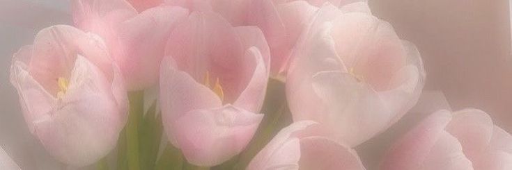 pink tulips are in a vase on the table