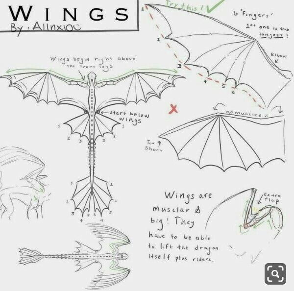 some drawings and instructions for how to draw an origami dragon from the book wings