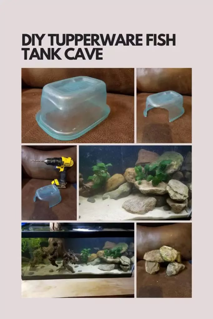 the instructions for how to make an aquarium tank