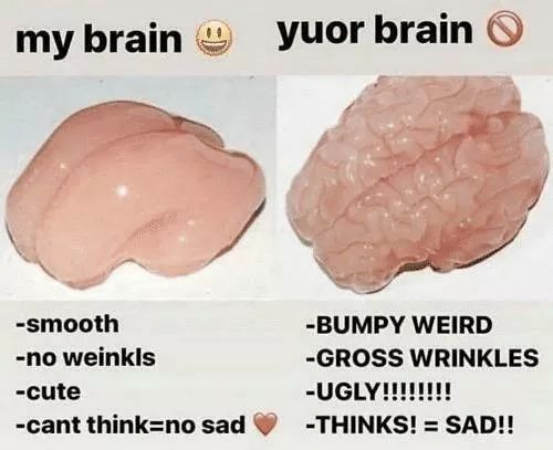 an image of two brain pictures with words on them