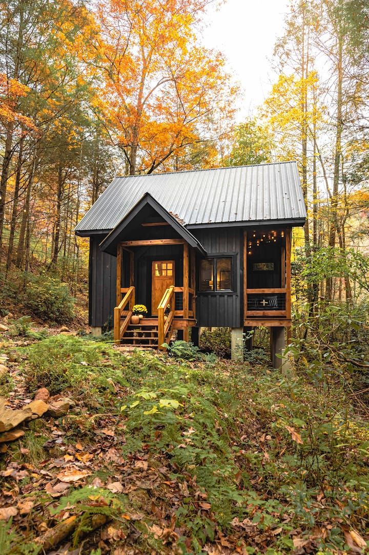 a small cabin sits in the woods surrounded by trees and leaves, with stairs leading up to it