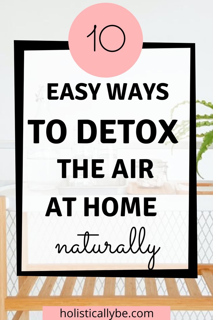 Air Purifier Living Room, Air Out Your House, Natural Air Purifier Diy, Essential Oils To Purify The Air, Essential Oils For Air Purification, How To Clean The Air In Your Home, How To Purify Air In Home, Diy Air Purifier How To Make, Air Purifying Diffuser Blend